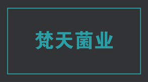 食品行业普洱冲锋衣设计款式